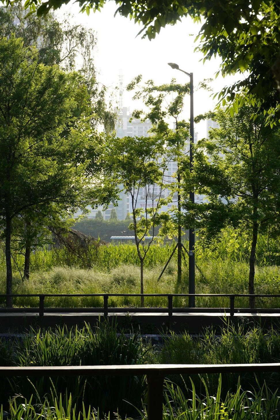 Urban Landscapes Project
